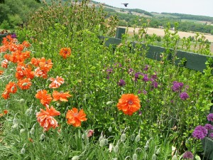 Pollen! Add a breeze and bring the tissues.