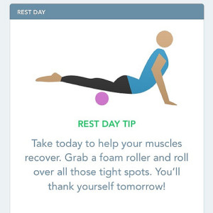 foam roller