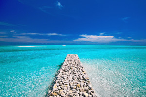 sunny path, water, pic