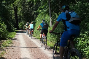 Explore a bike trail.