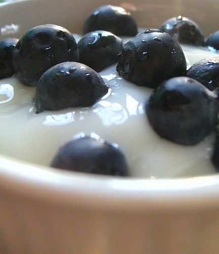 yogurt with blueberries, pic