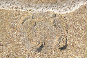 Keep your summer feet healthy. Protect them from sunburn and blisters.