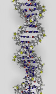 DNA strand, pic