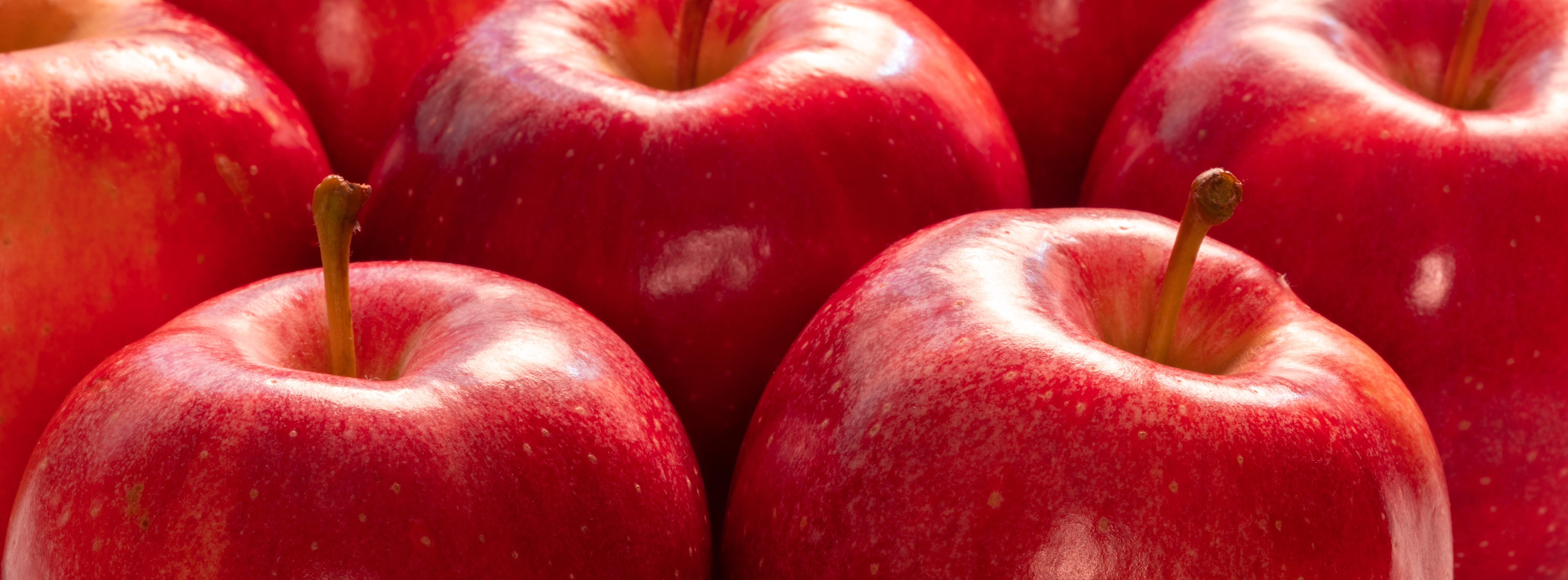 5 Reasons to Eat an Apple - Fitness & Wellness News